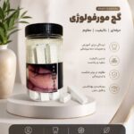 نمای کلی از مجموعه گچ مورفولوژی نقشینه ۱۲ عددی